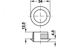 Hafele - Rosette brass pol.        16mm - 229.03.851